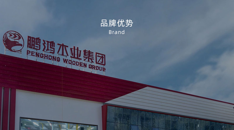 板材品牌、、全屋定制品牌、、生态板十大品牌