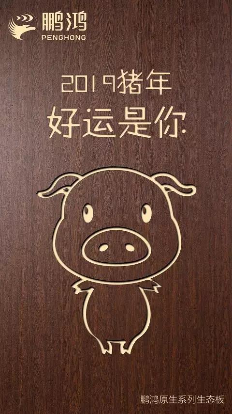 W66最给力的老牌娱乐原生系列生态板