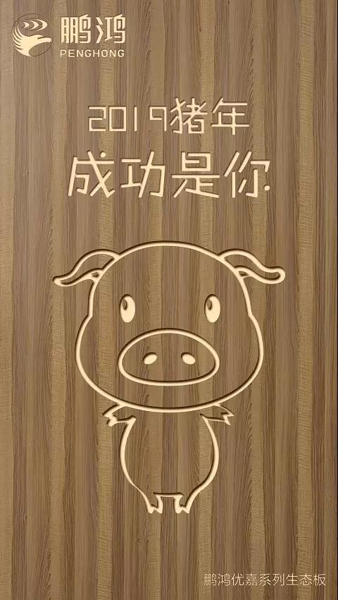 W66最给力的老牌娱乐优嘉系列生态板