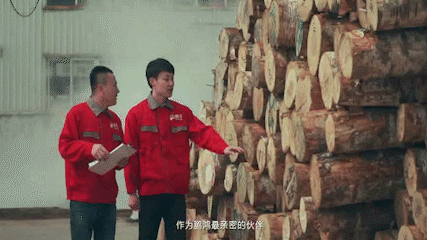 w66国际官网(中国)最给力的老牌娱乐 - welcome