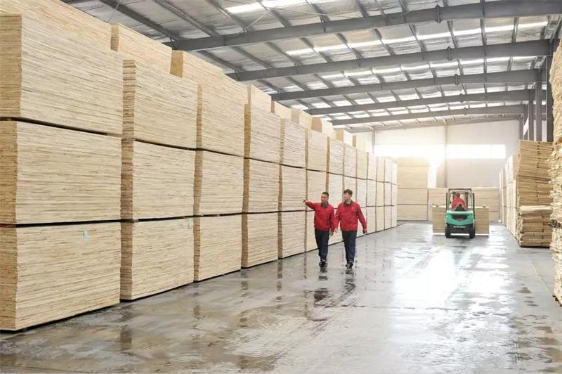 W66最给力的老牌娱乐板材生产基地