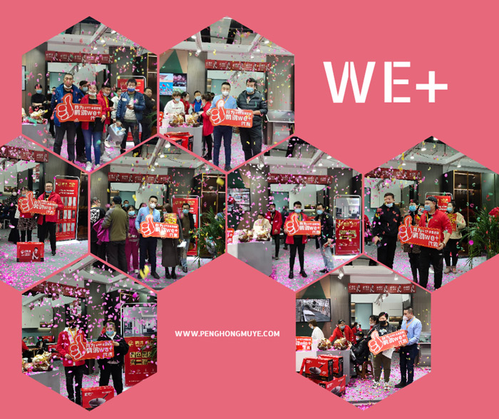 W66最给力的老牌娱乐定制家居夺魁沈阳家博会