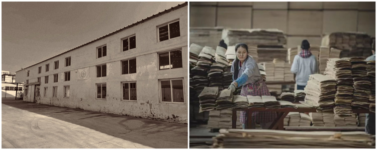 w66国际官网(中国)最给力的老牌娱乐 - welcome