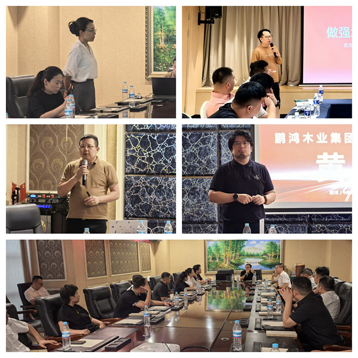 W66最给力的老牌娱乐板材华北经销商运营钻研会